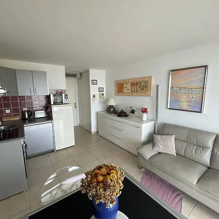 Moderne 2p Avec Belle Vue, Piscine, Parking, Centre-port, Proche Et Commerces - Cap D'agde - Fr-1-723-145 Apartment